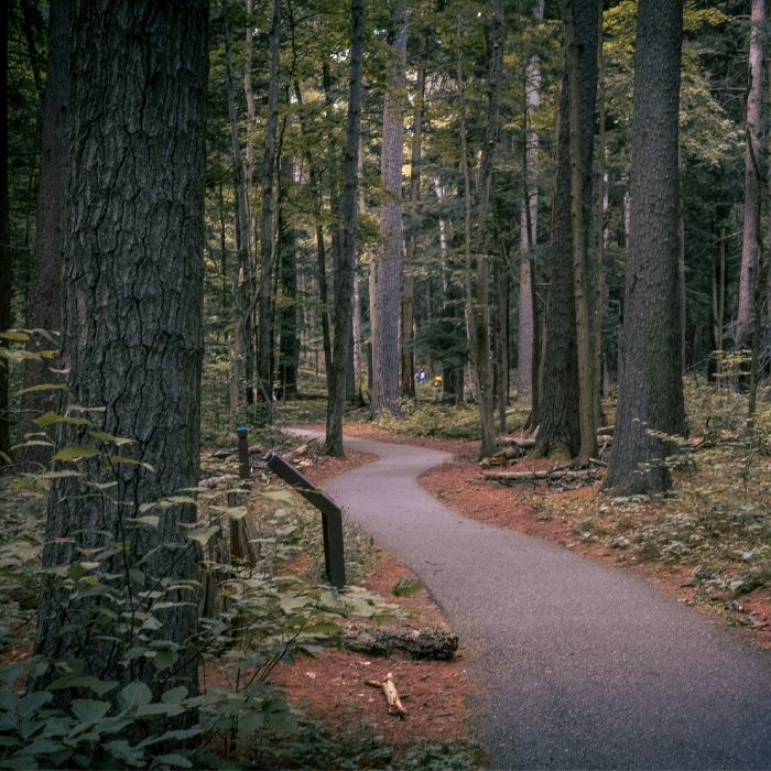 Wanderweg im Schwarzwald bei Schömberg